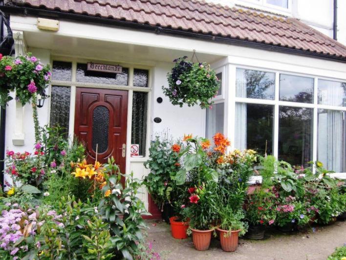 Sleights Beechlands B & B المظهر الخارجي الصورة