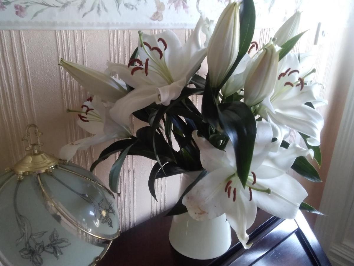 Sleights Beechlands B & B المظهر الخارجي الصورة
